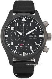 IWC Pilots IW389101