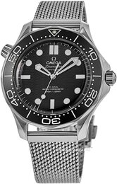 Omega Seamaster Diver 300m 210.30.42.20.01.010